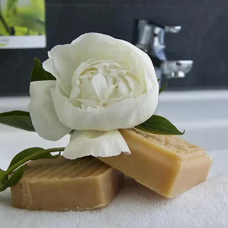 Hotel Boardinghouse Landshut