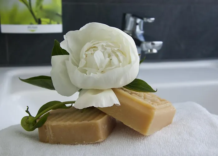 מלון Boardinghouse לנדשט